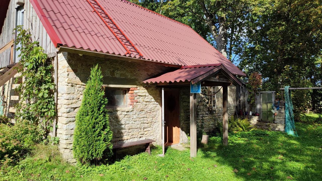 Viini Puhkemaja Vendégház Mustjala Kültér fotó