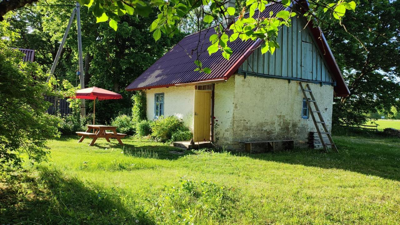 Viini Puhkemaja Vendégház Mustjala Kültér fotó